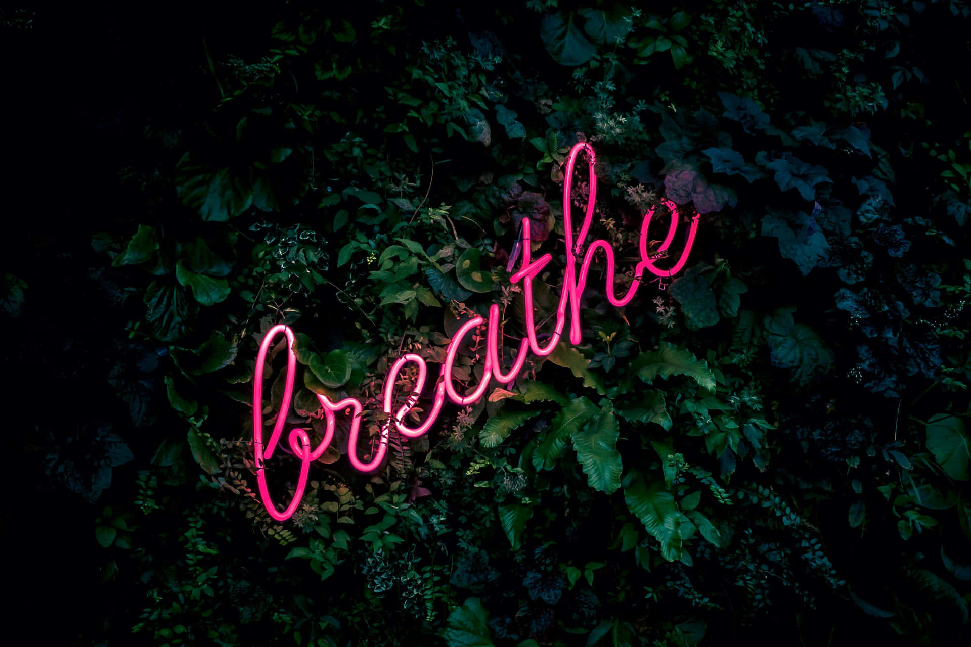 Neon Breathe Nature Sign Wallpaper