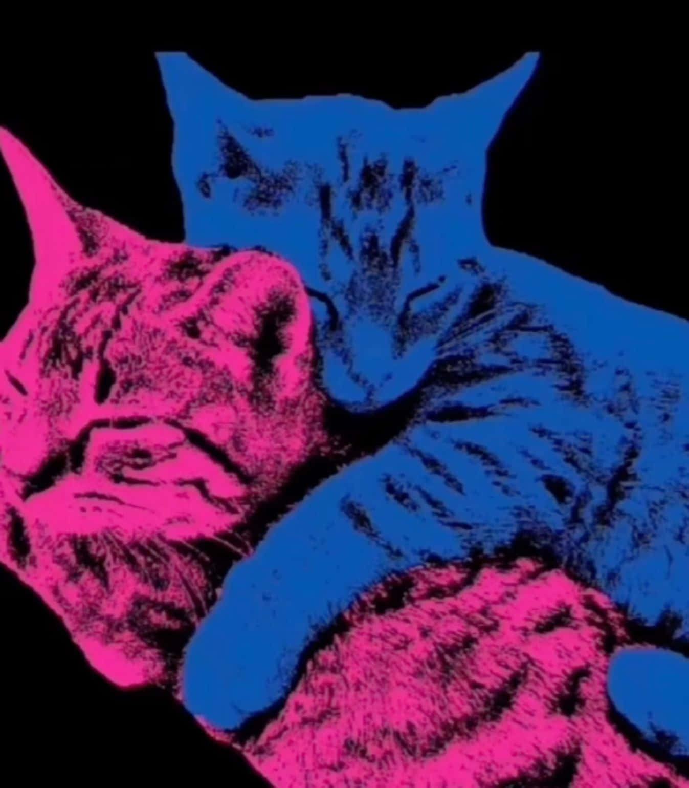 Neon Cats Embrace Wallpaper