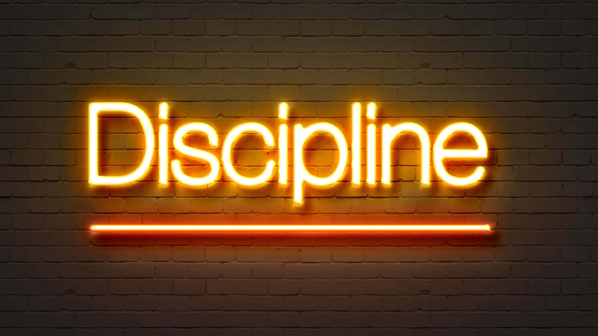Neon Discipline Sign Wallpaper