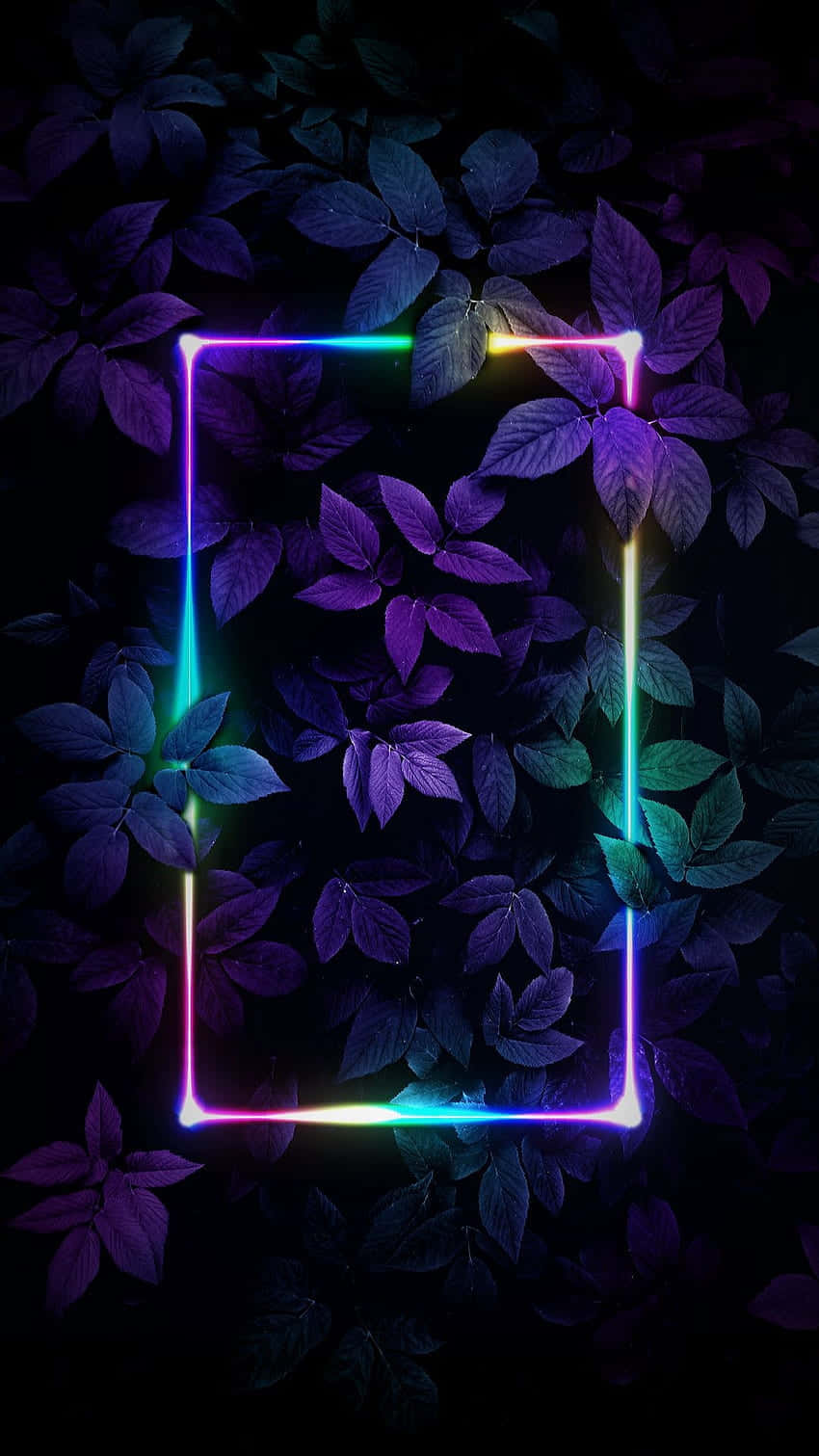 Neon Frame Leaves Dark Purple Aesthetic.jpg Wallpaper