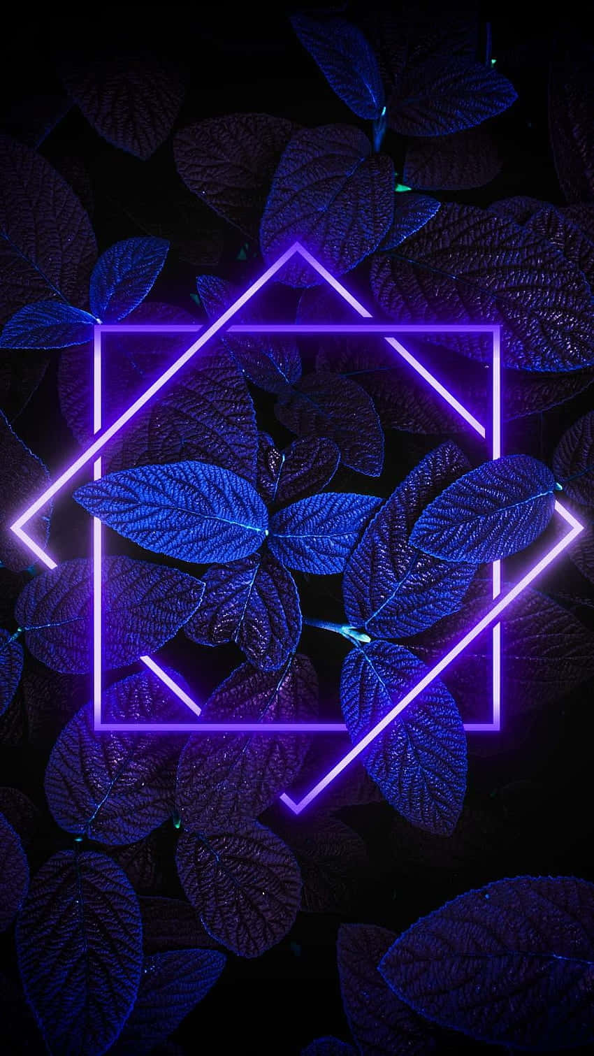 Neon_ Glow_ Leaves_ Background Wallpaper