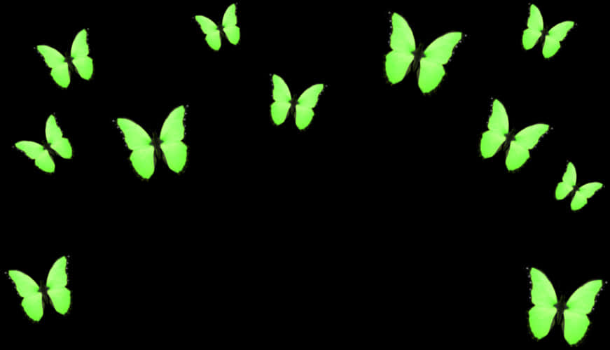 Neon Green Butterflies Black Background PNG