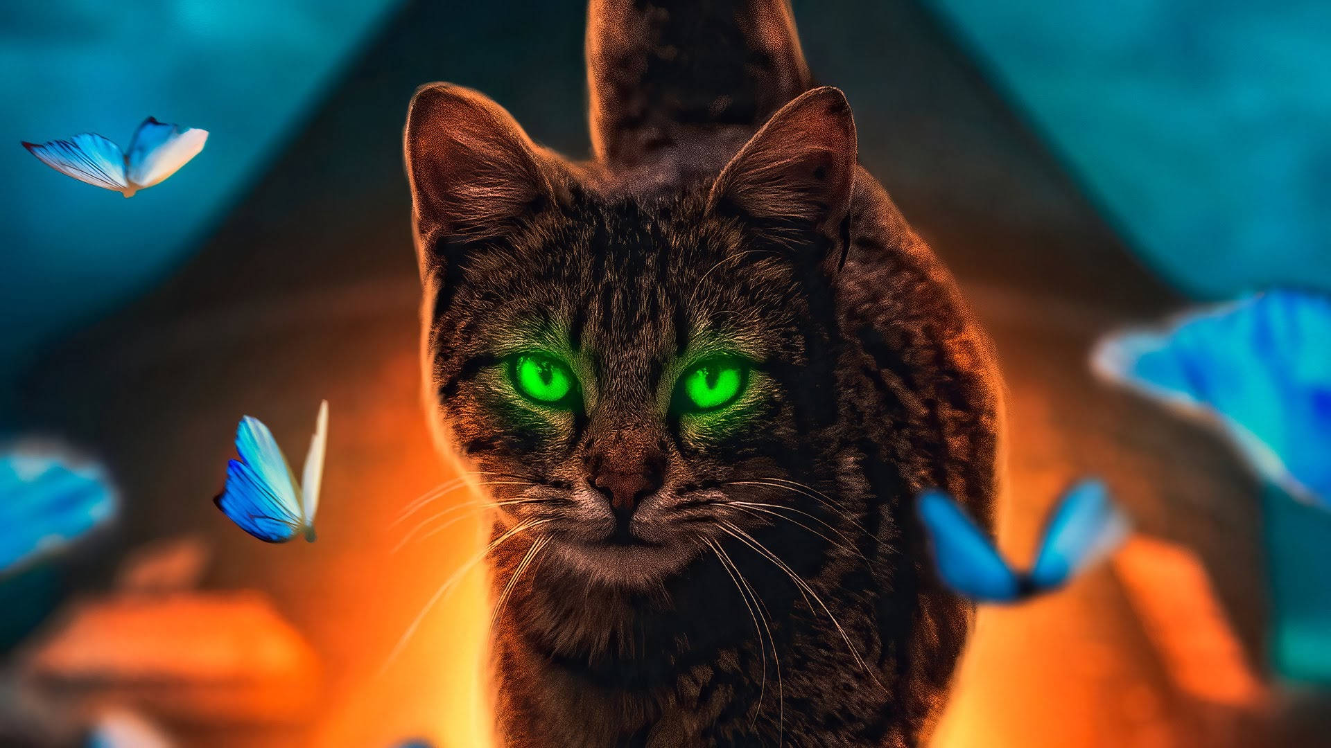 Neon Green Cat Eyes Wallpaper