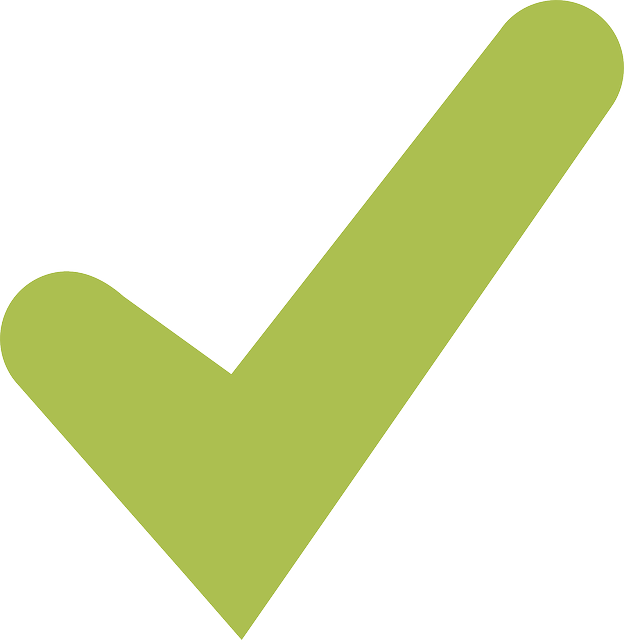 Neon Green Check Mark PNG