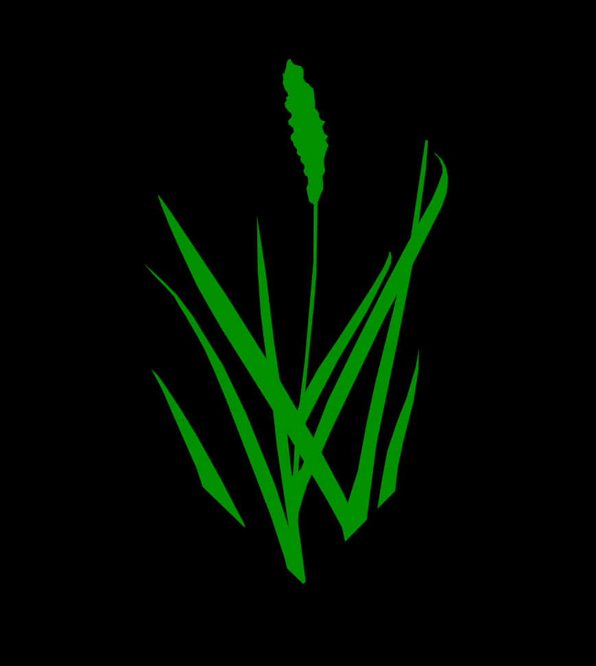 Neon Green Grass Blade Graphic PNG