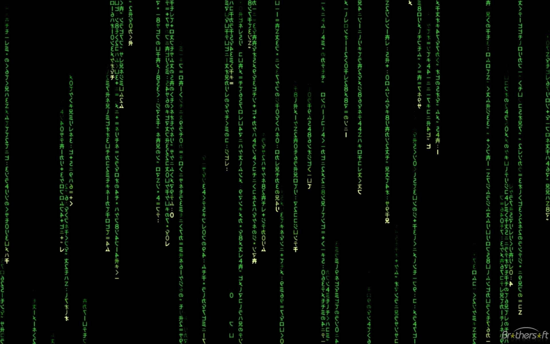 Welcome to the Matrix Wallpaper