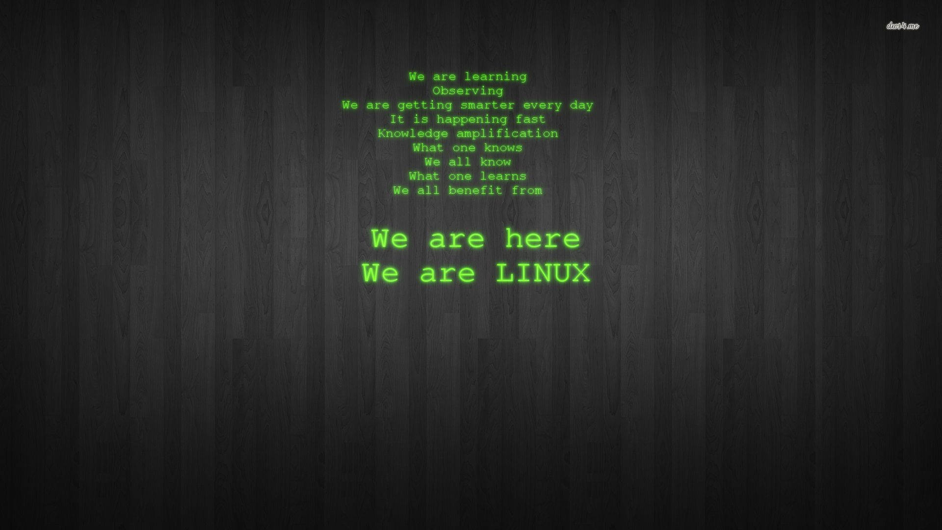 Neon Green Linux Debian Hacker Wallpaper