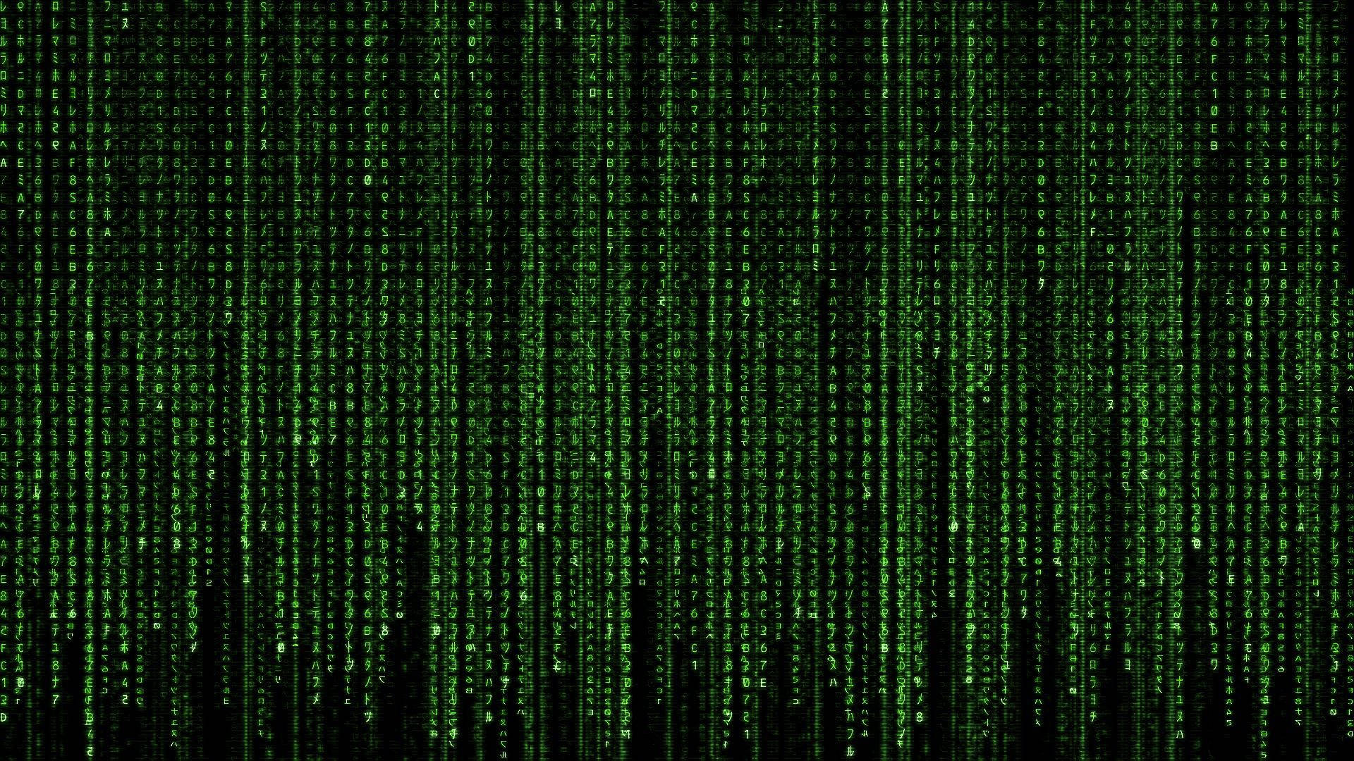 Free your mind in the matrix of neon green Wallpaper
