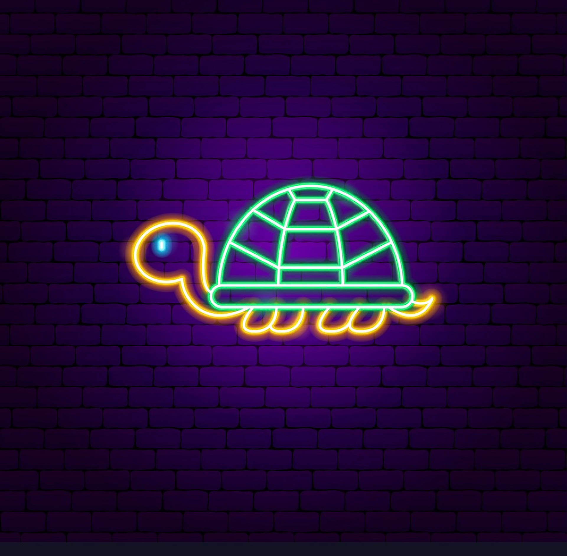 Neon Light Turtle Wallpaper