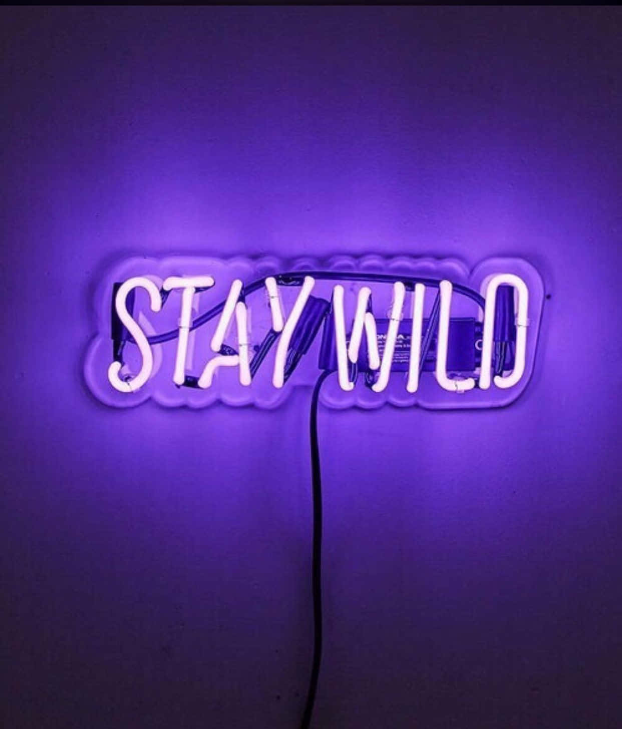 Brighten up your day with Neon Lights Aesthetic Wallpaper