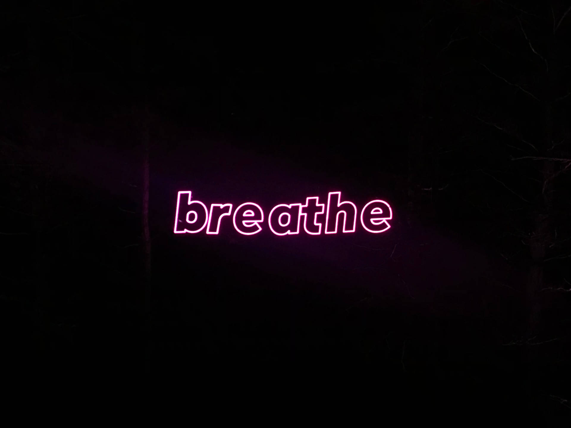 Neon Lights Breathe Wallpaper