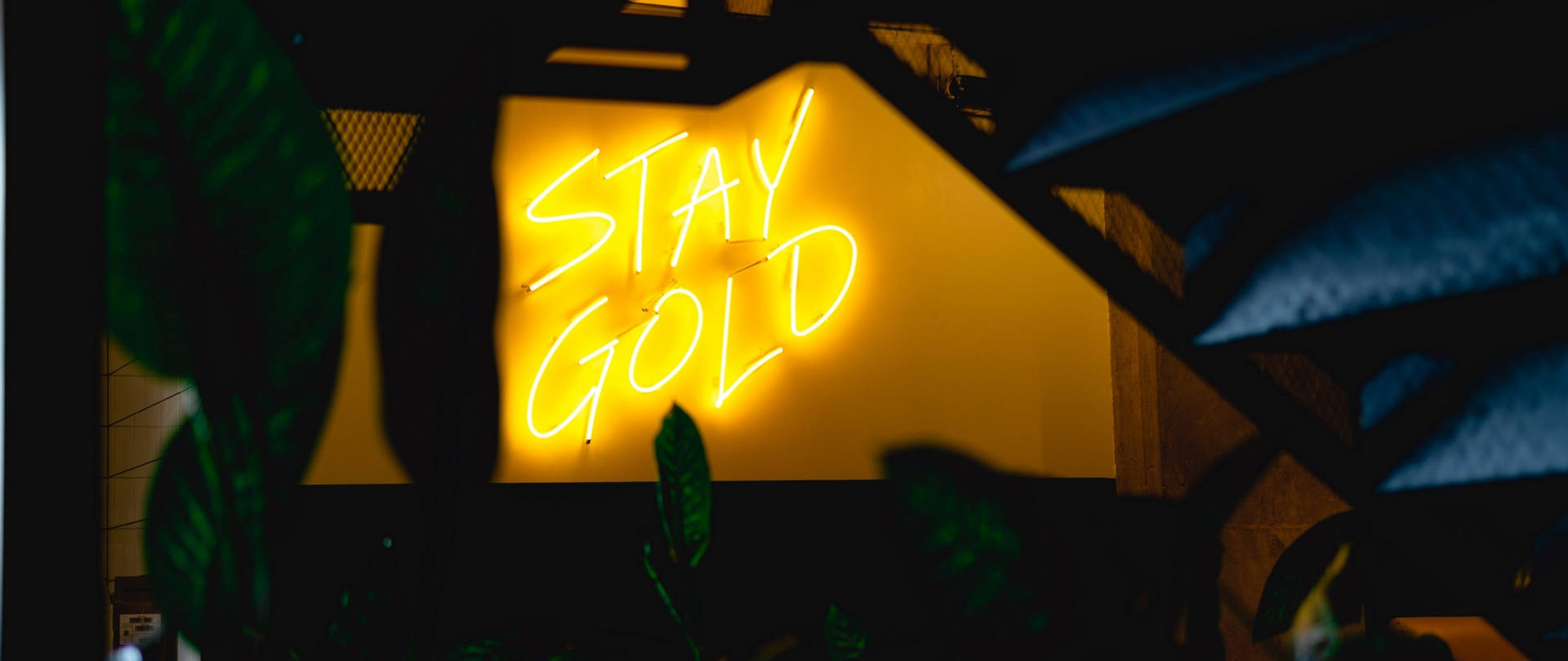 Neon Lights Stay Gold Wallpaper