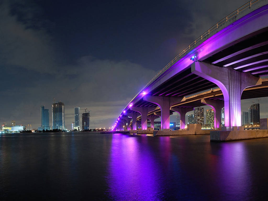 Neon-lit Miami Florida Wallpaper