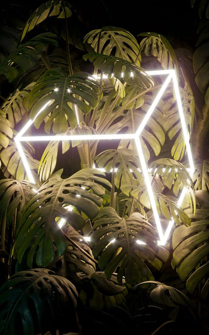 Neon Lit Tropical Foliage Wallpaper