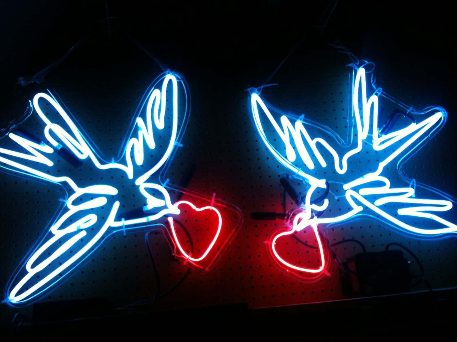 Neon Love Birds Art Wallpaper