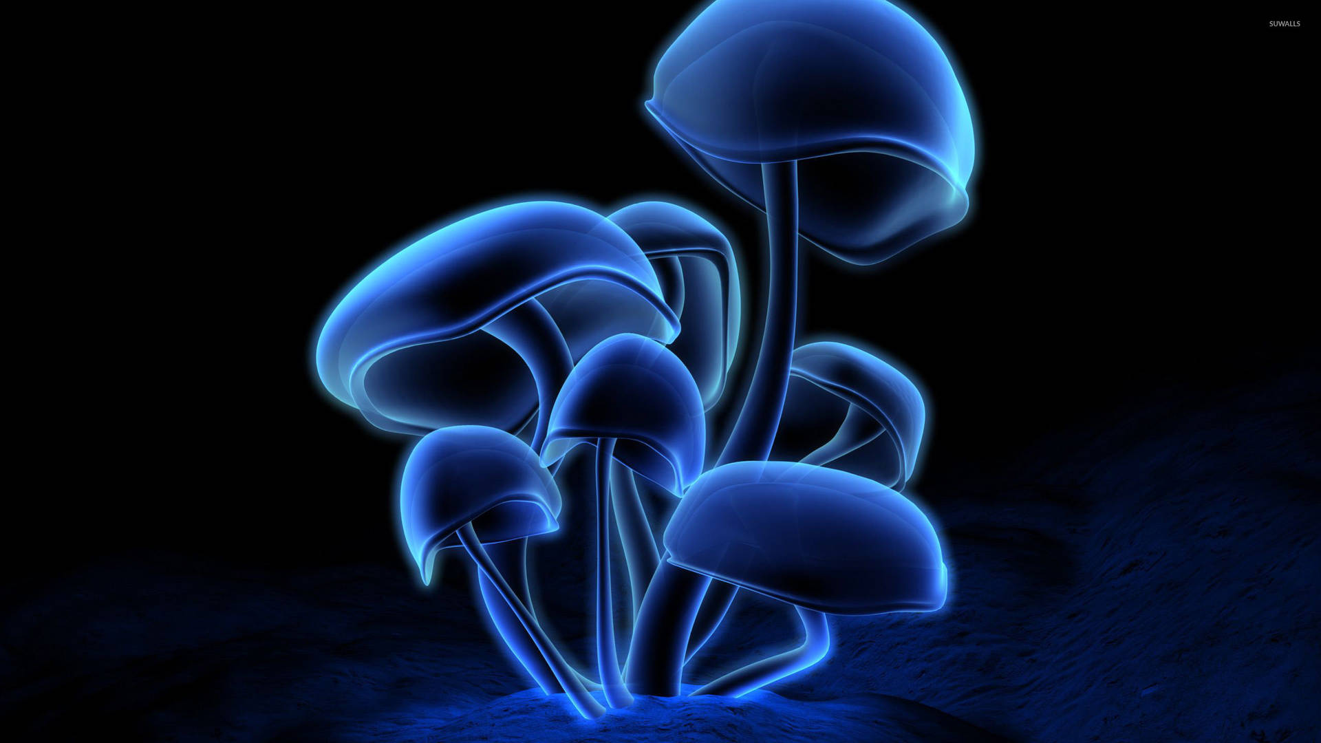 Neon Mushroom Æstetisk Wallpaper
