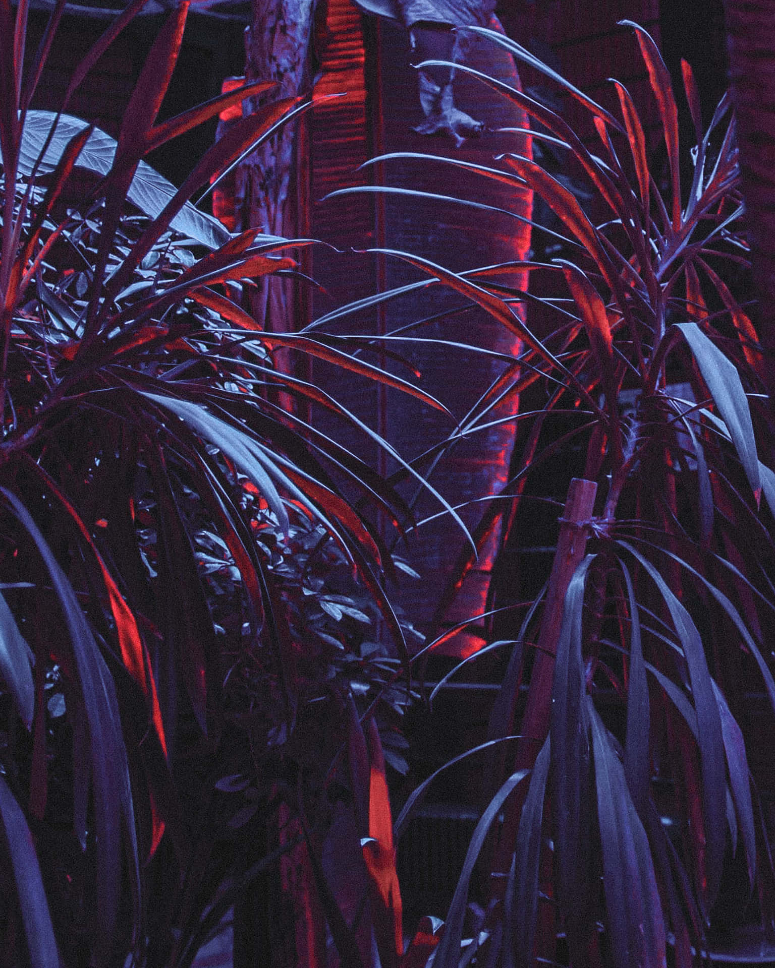 Neon Nature Nightlife.jpg Wallpaper