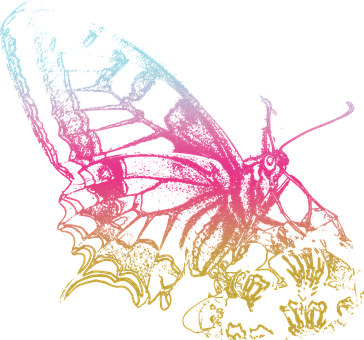 Neon Outlined Butterfly PNG