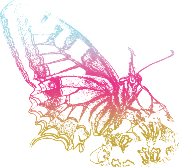 Neon Outlined Butterflyon Black PNG