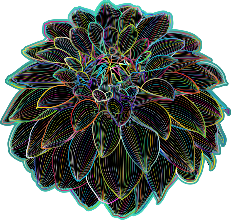Neon Outlined Chrysanthemum Flower PNG