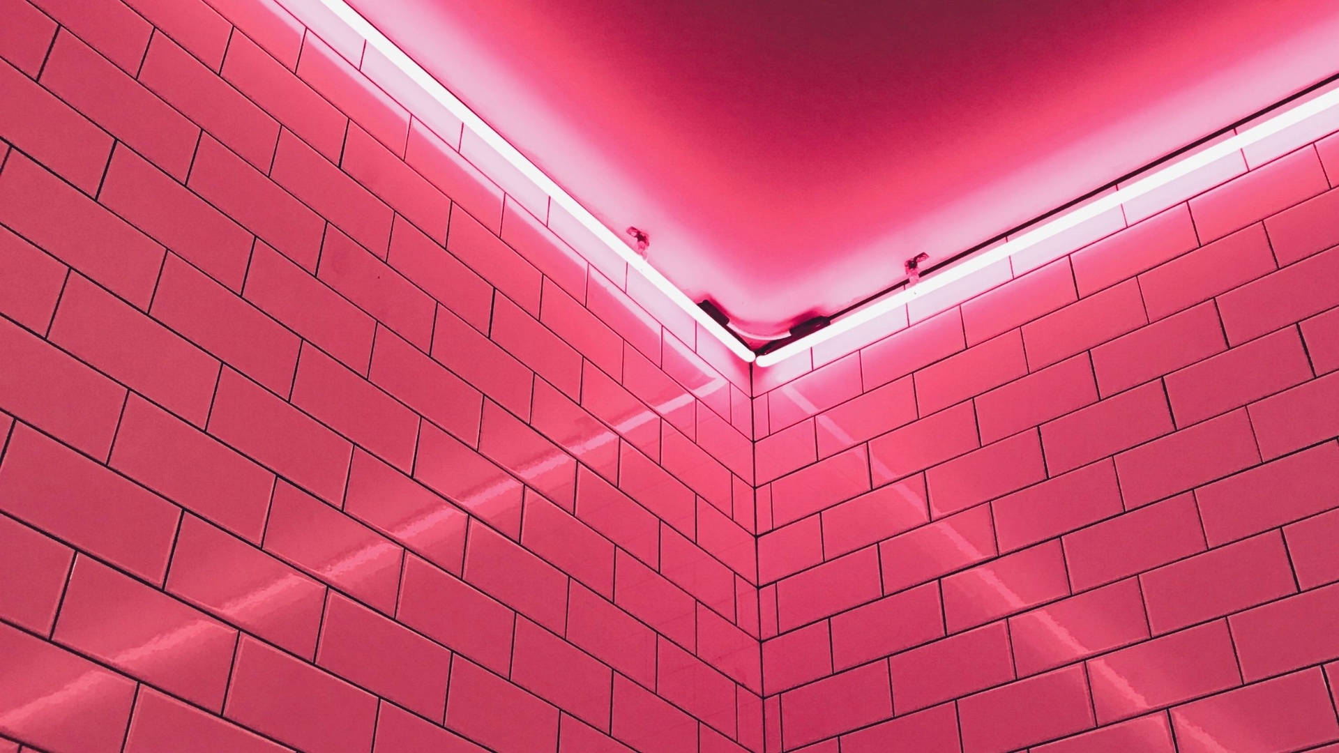 Neon Pink Aesthetic Brick Wall
