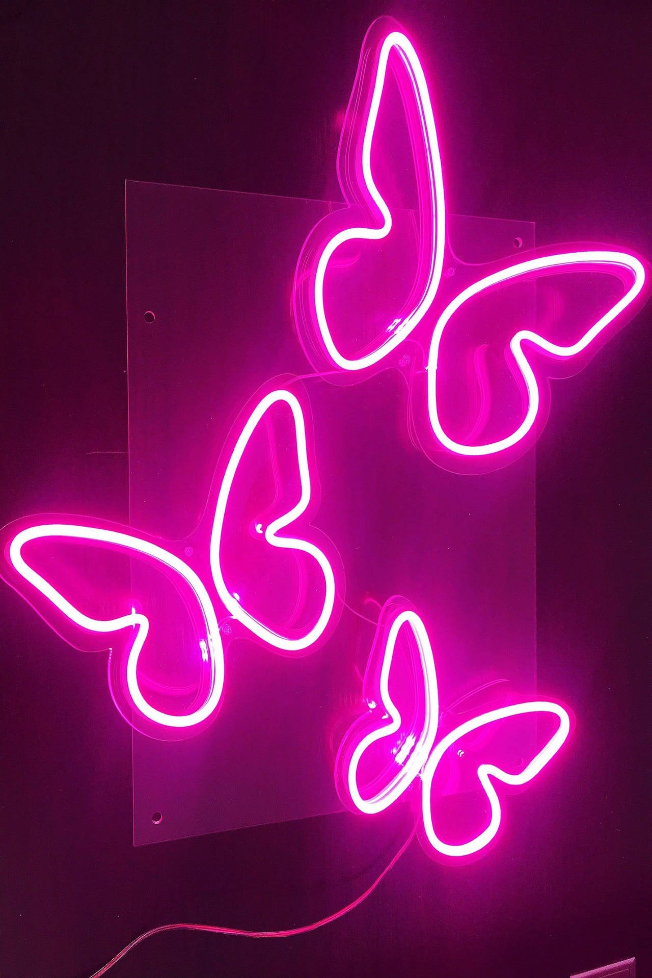Neon Pink Aesthetic Butterflies Wallpaper