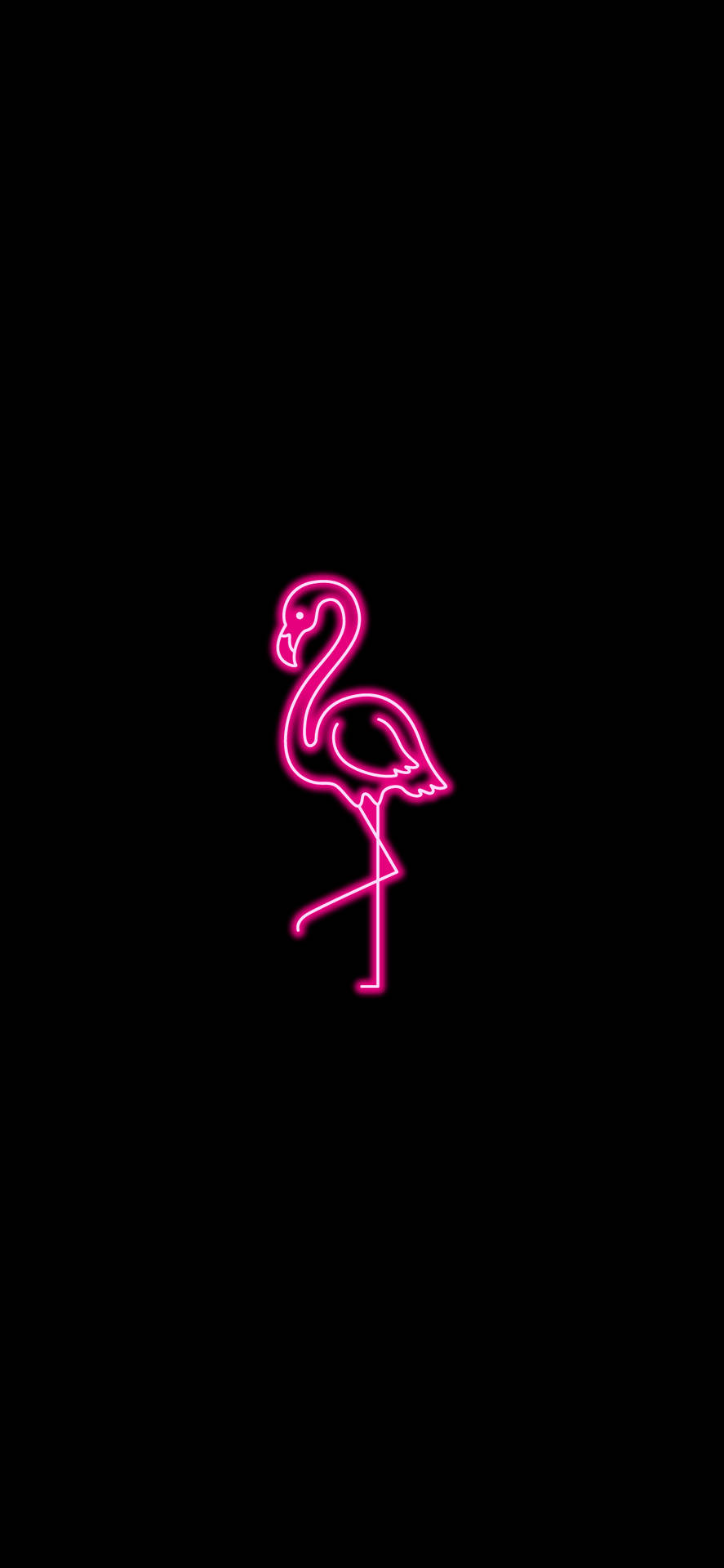 Neon Pink Aesthetic Flamingo