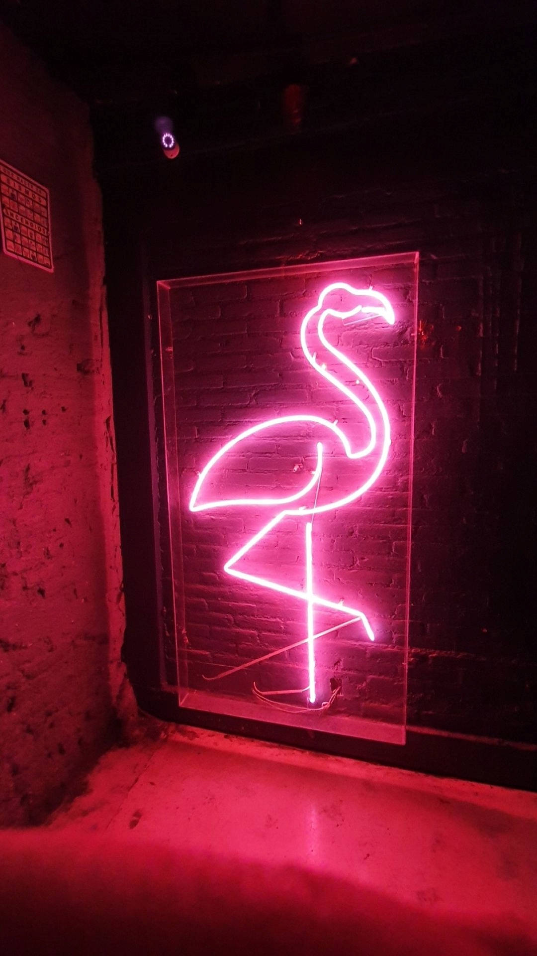 Neon Pink Aesthetic Flamingo Light Wallpaper