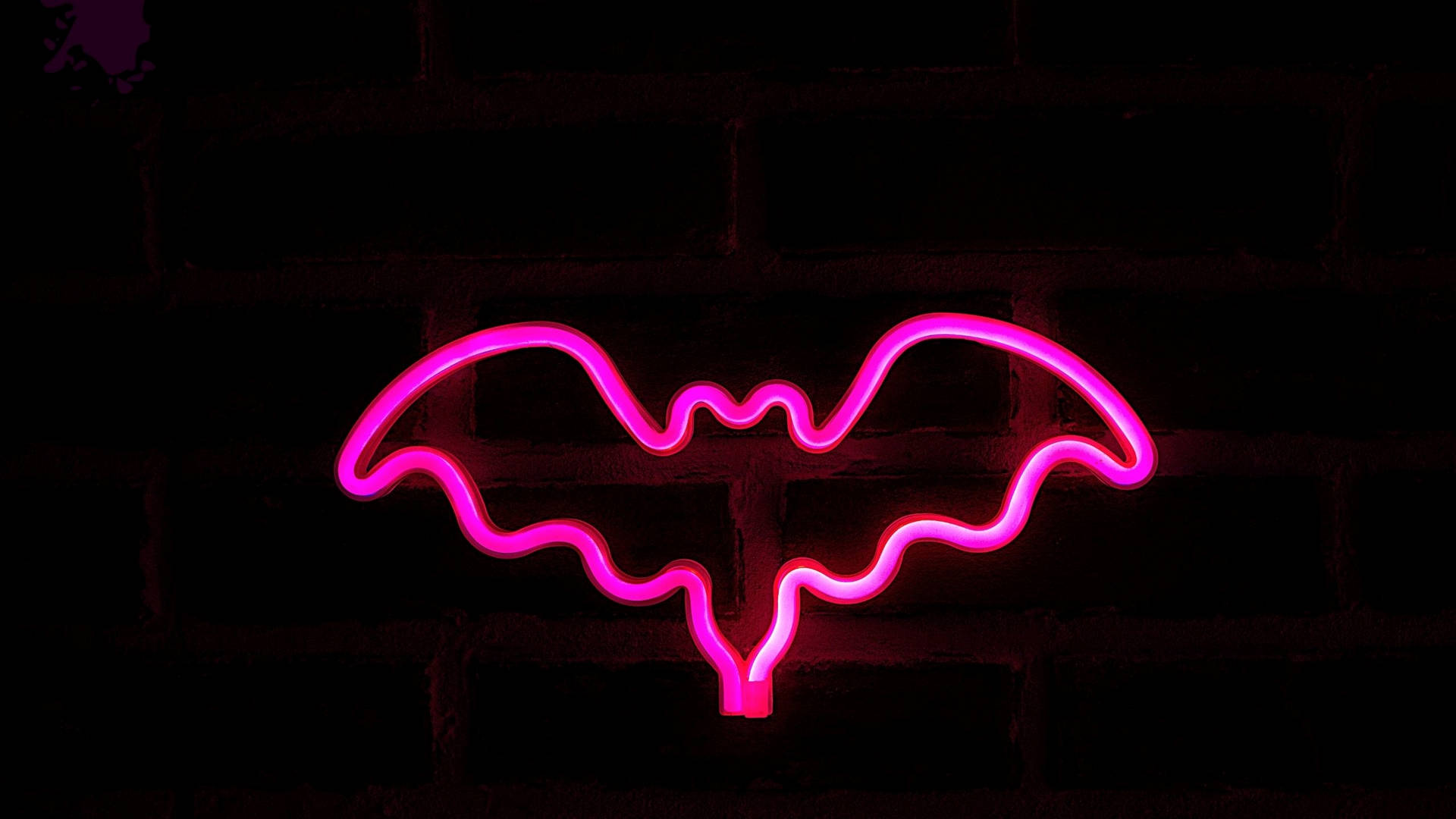 Neon Pink Aesthetic Flying Bat Wallpaper