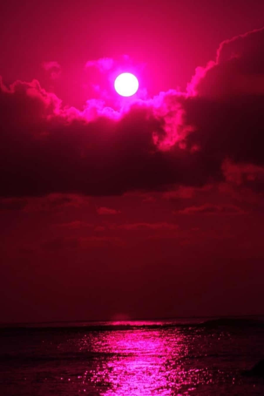 A Pink Sun Over The Ocean