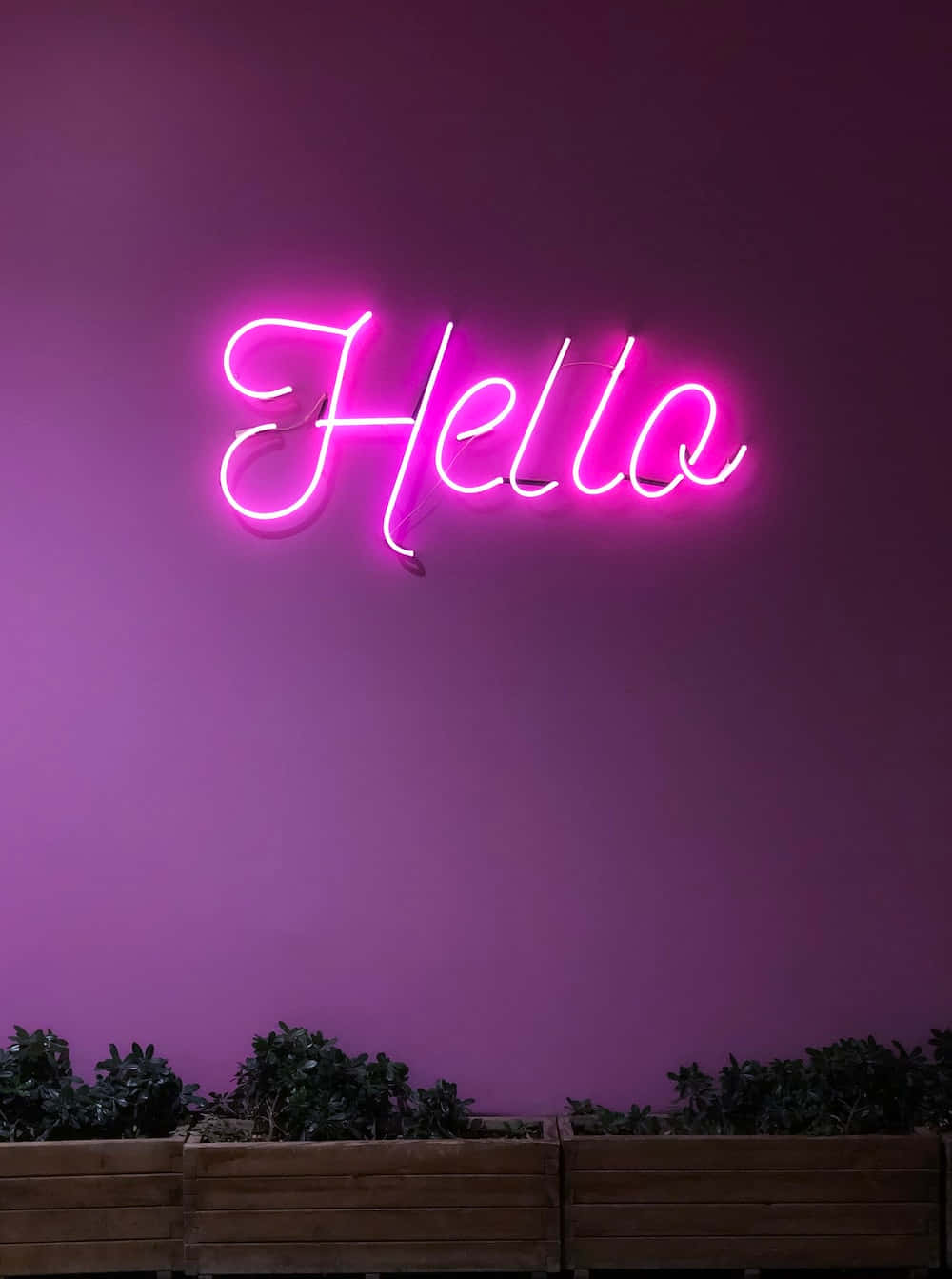 Radical and Eye-Catching Neon Pink Background