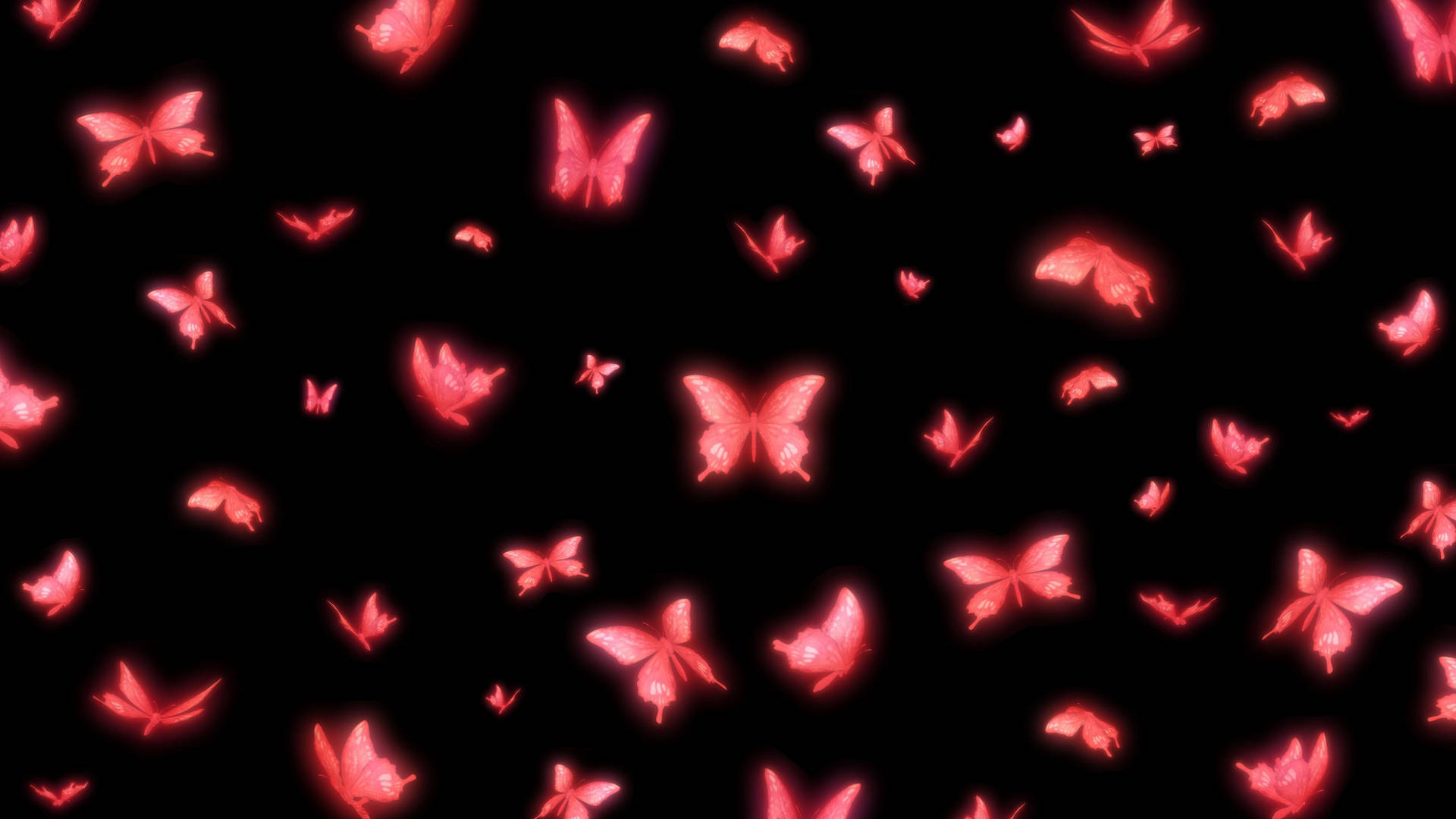 Neon Pink Butterfly Wallpaper