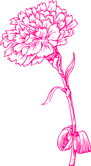 Neon Pink Flower Sketch PNG