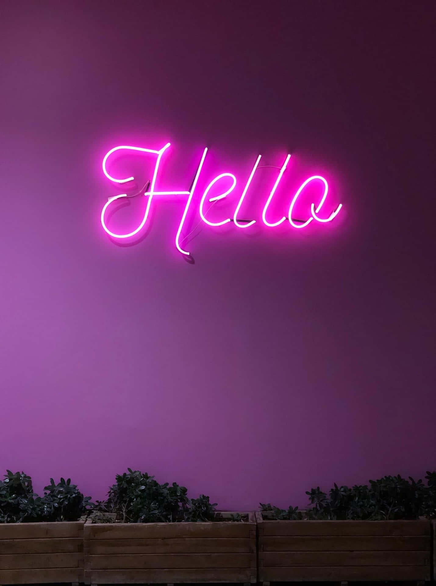 Download Neon Pink Hello Sign Wall Art Wallpaper | Wallpapers.com