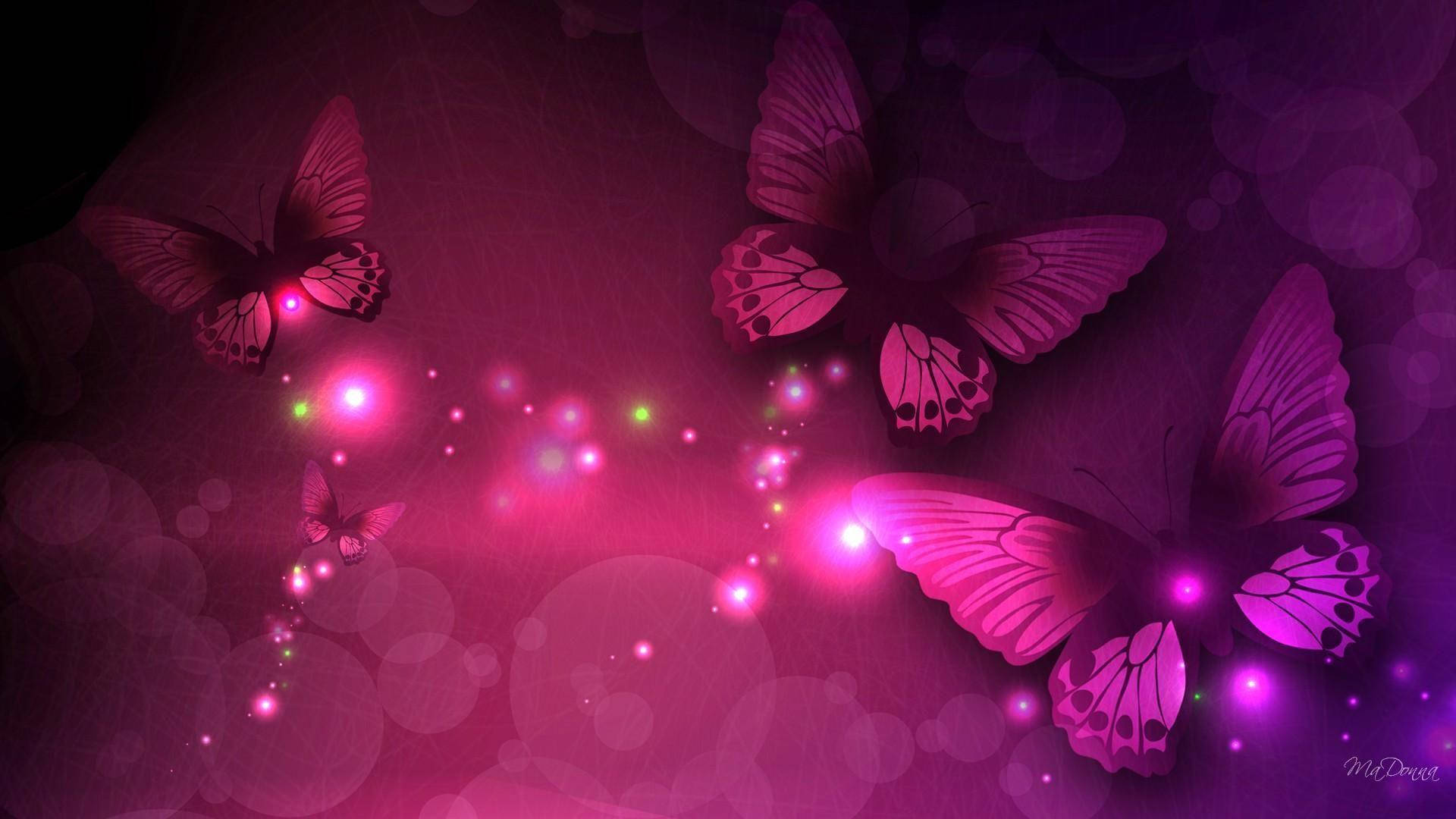 Download Neon Pink Night Butterfly Wallpaper 
