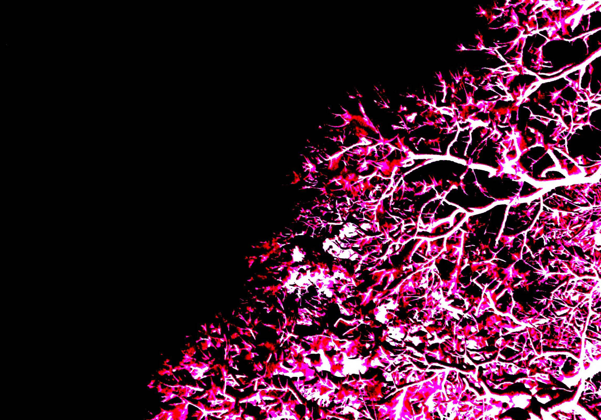 Árvoreneon Rosa Com Folhas. Papel de Parede
