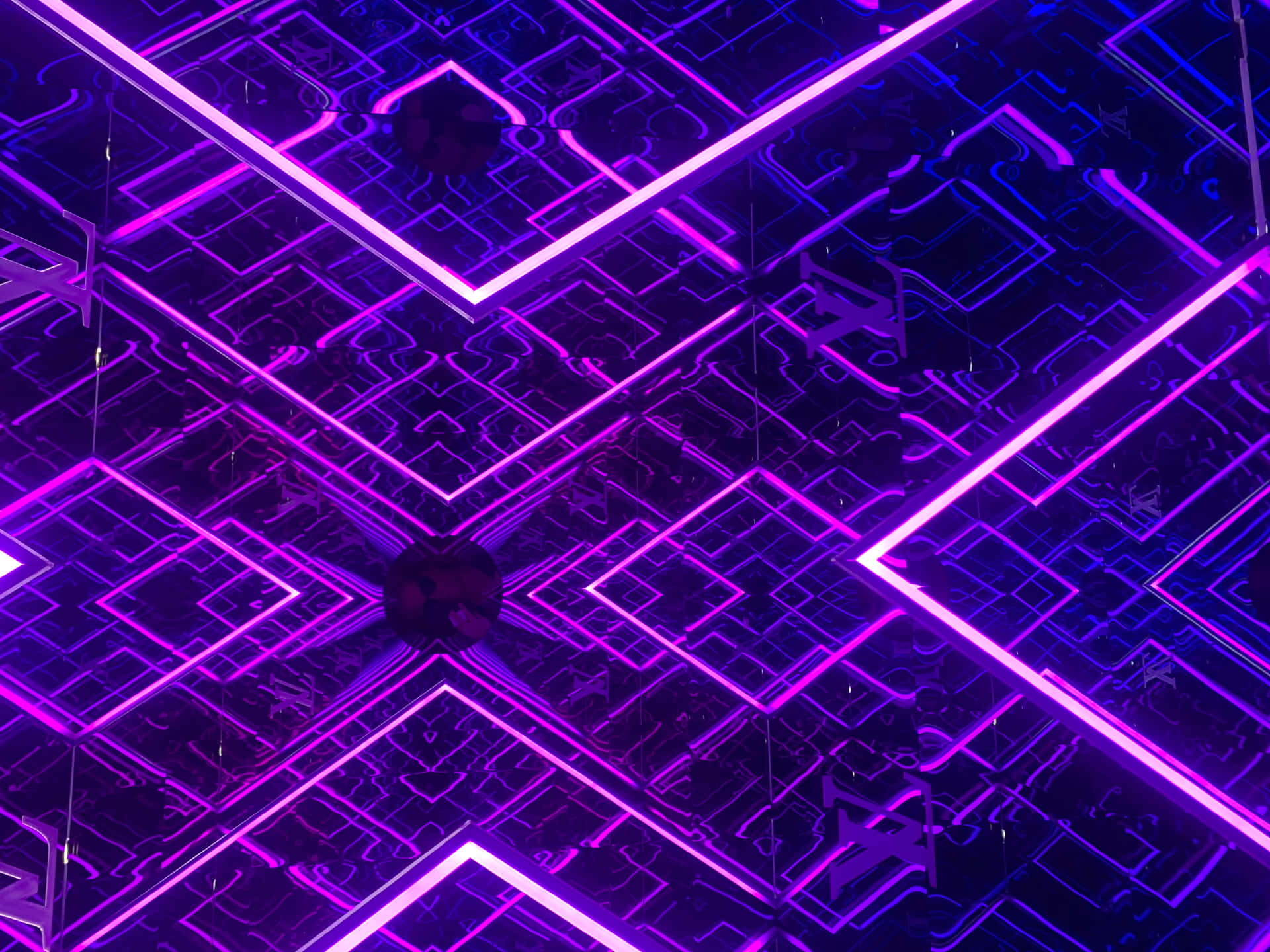 Gorgeous Purple Neon Lights