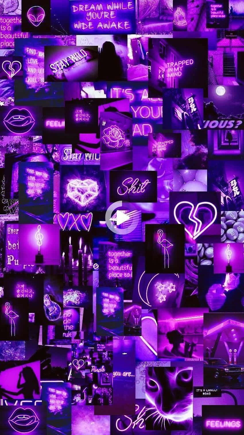 A Collage Of Purple Pictures With A Lot Of Hearts