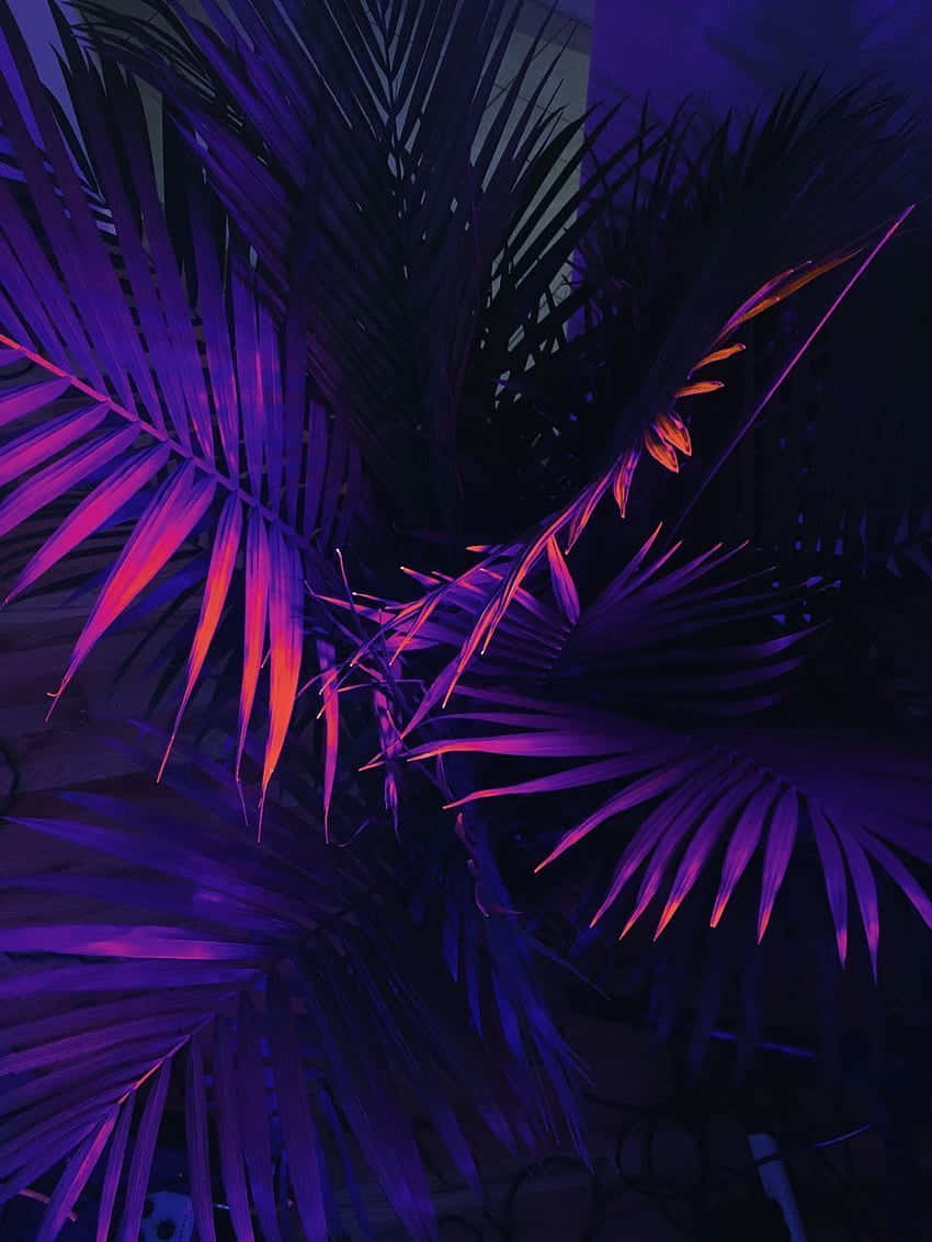 Neon Purple Tropical Leaves Wallpaper
