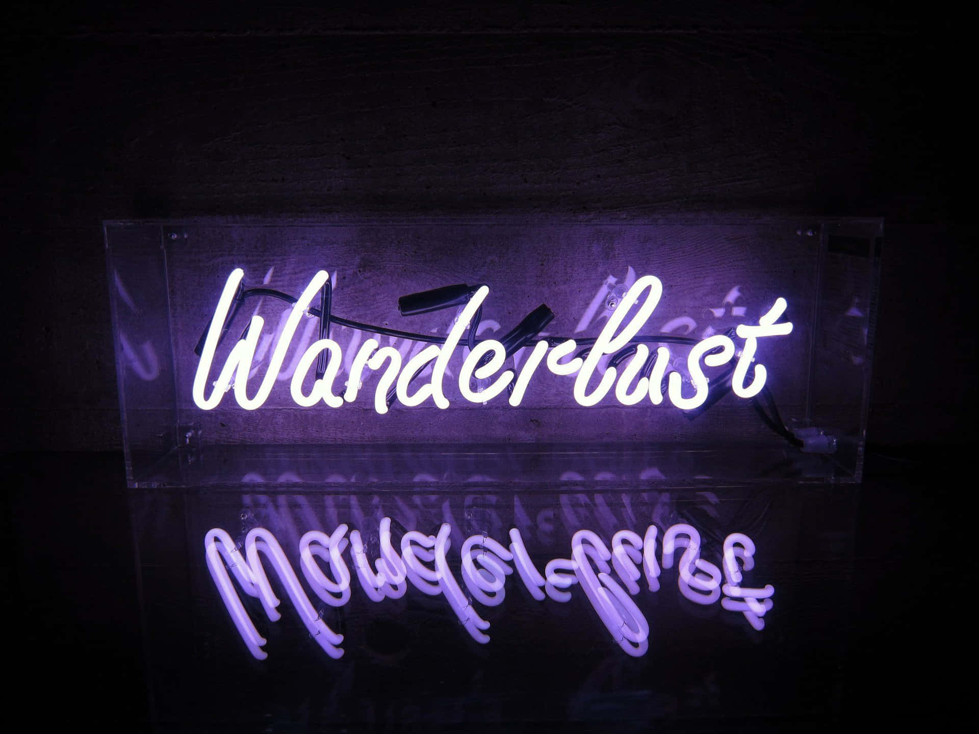 Neon Citater Lilla Wanderlust Wallpaper