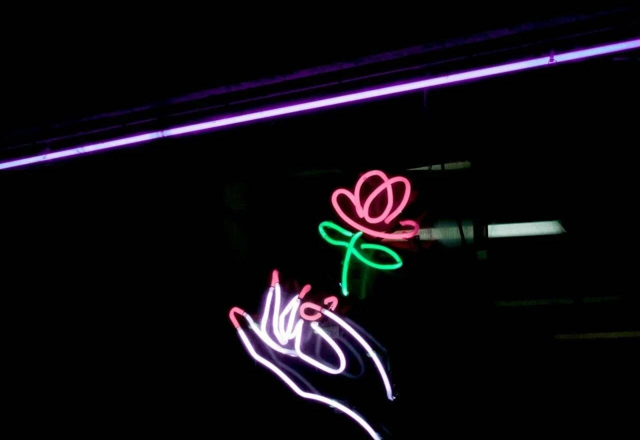 Neon Rose Light Wallpaper