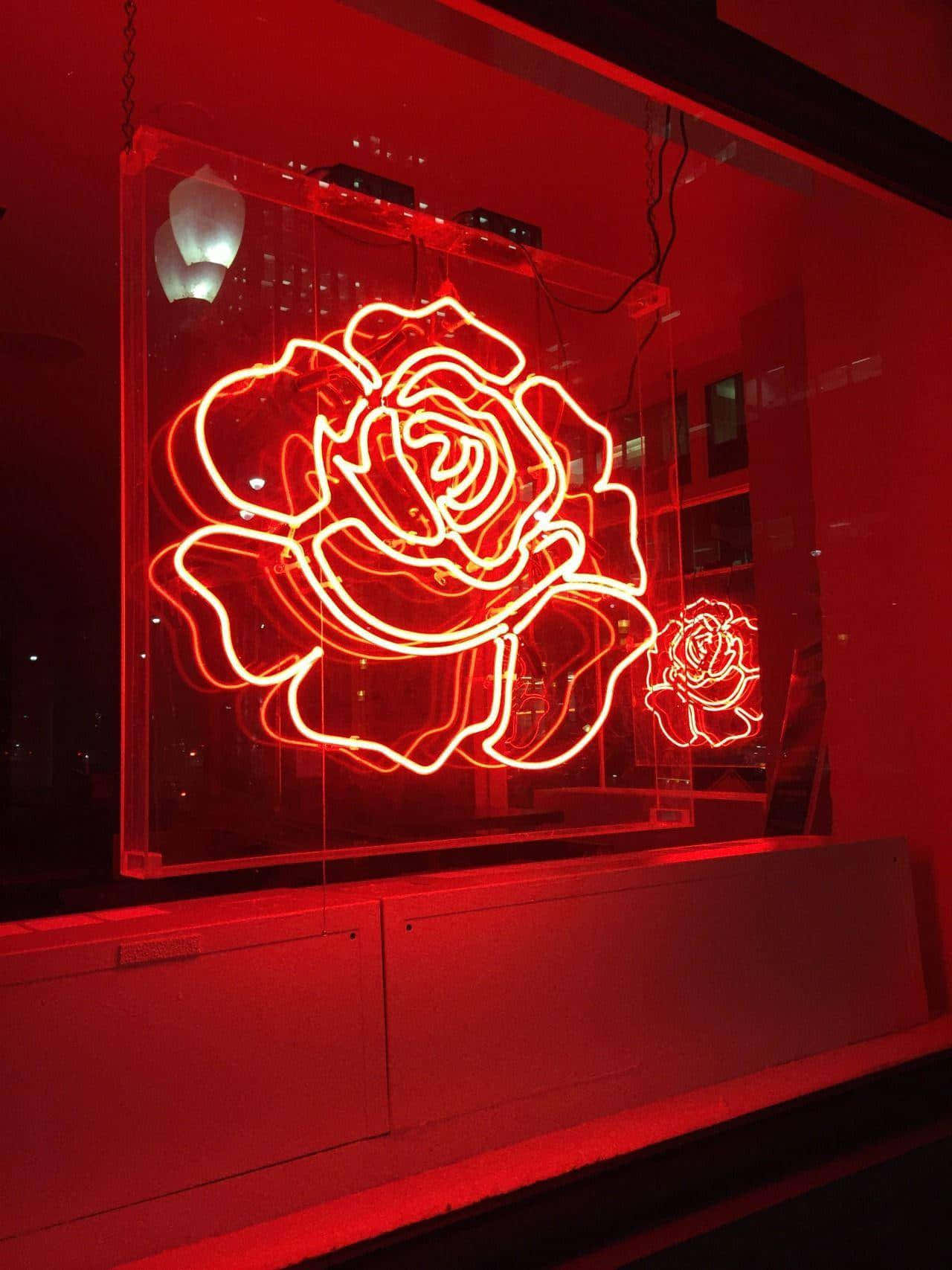 Neon Rose Window Display Wallpaper