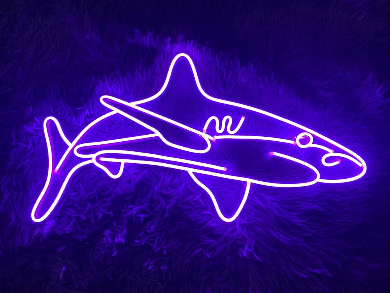 Neon Shark Light Art Wallpaper