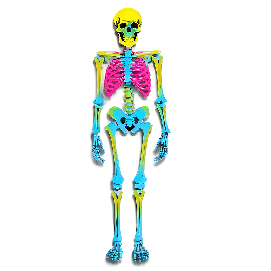 Neon Skeleton Png 11 PNG