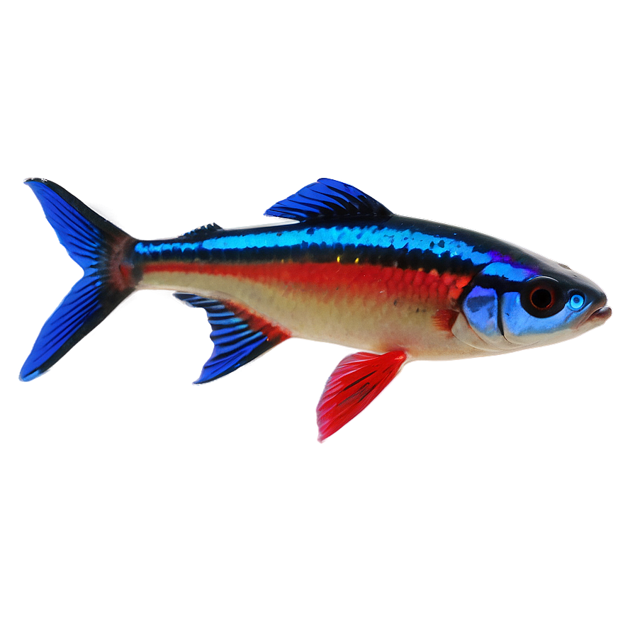 Neon Tetra Fish Png Otw7 PNG