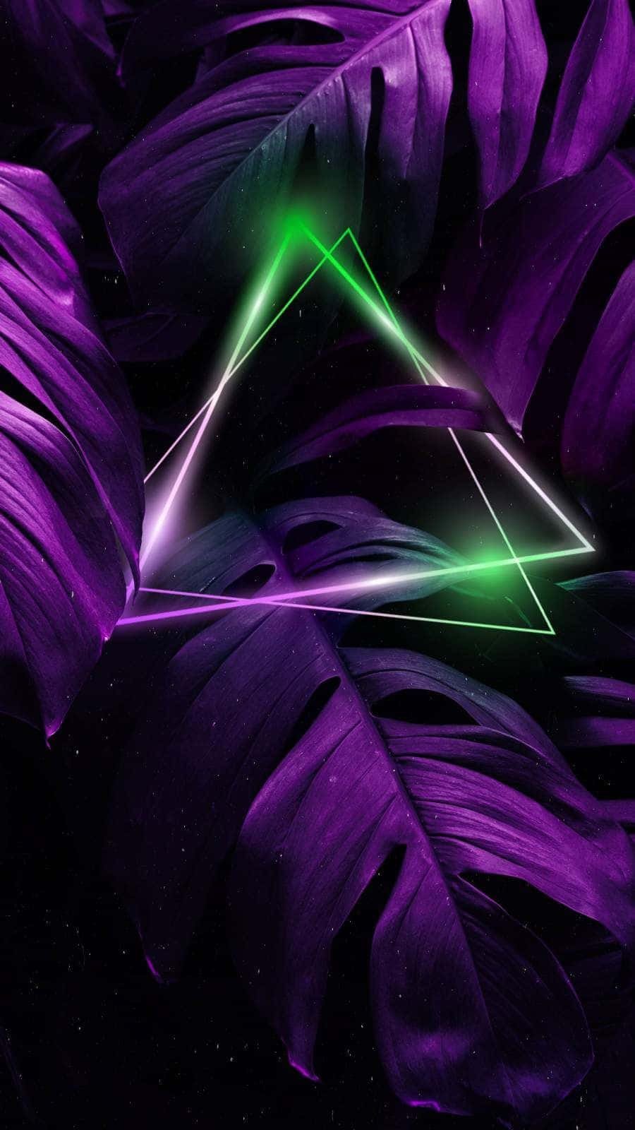 Segitiga Neon Di Antara Daun Ungu Wallpaper