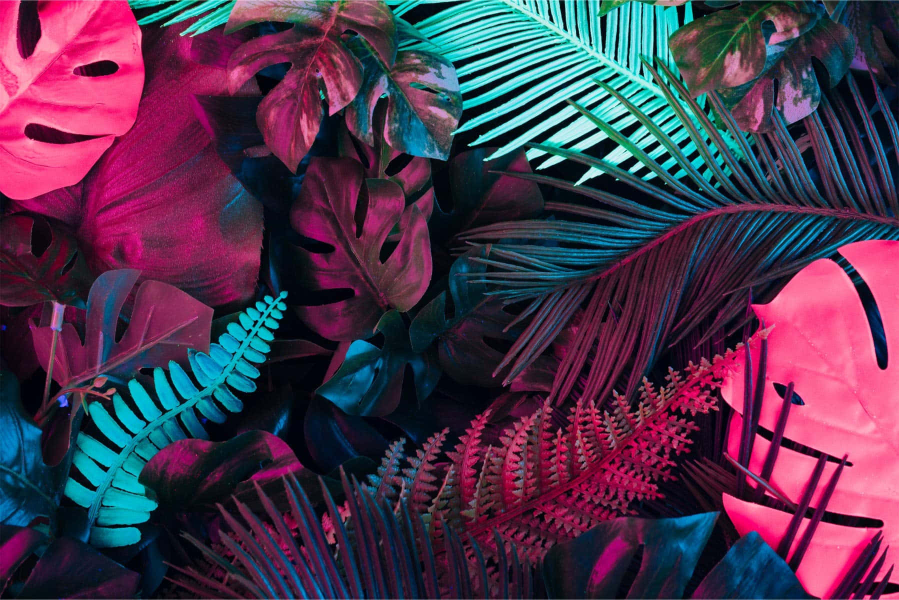 Neon Tropical Foliage Backdrop Wallpaper