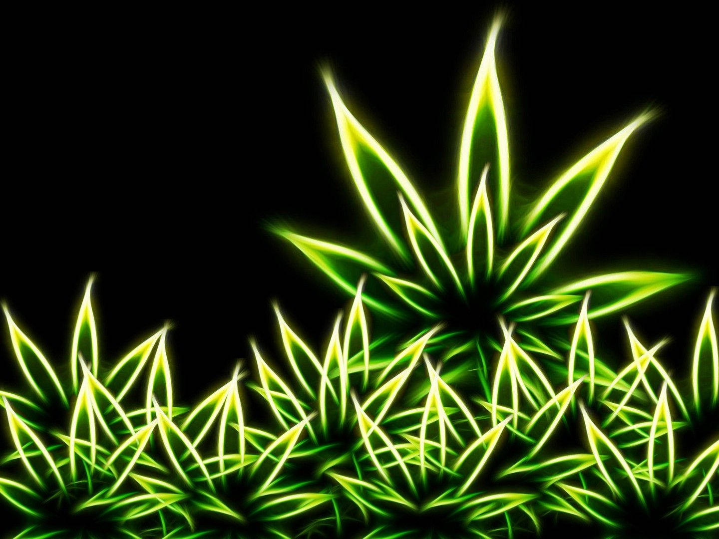 Neon Weed Leaf Graphics Wallpaper