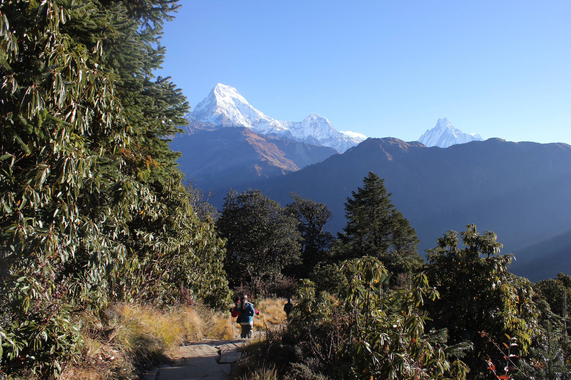 Nepal Lantang Valley