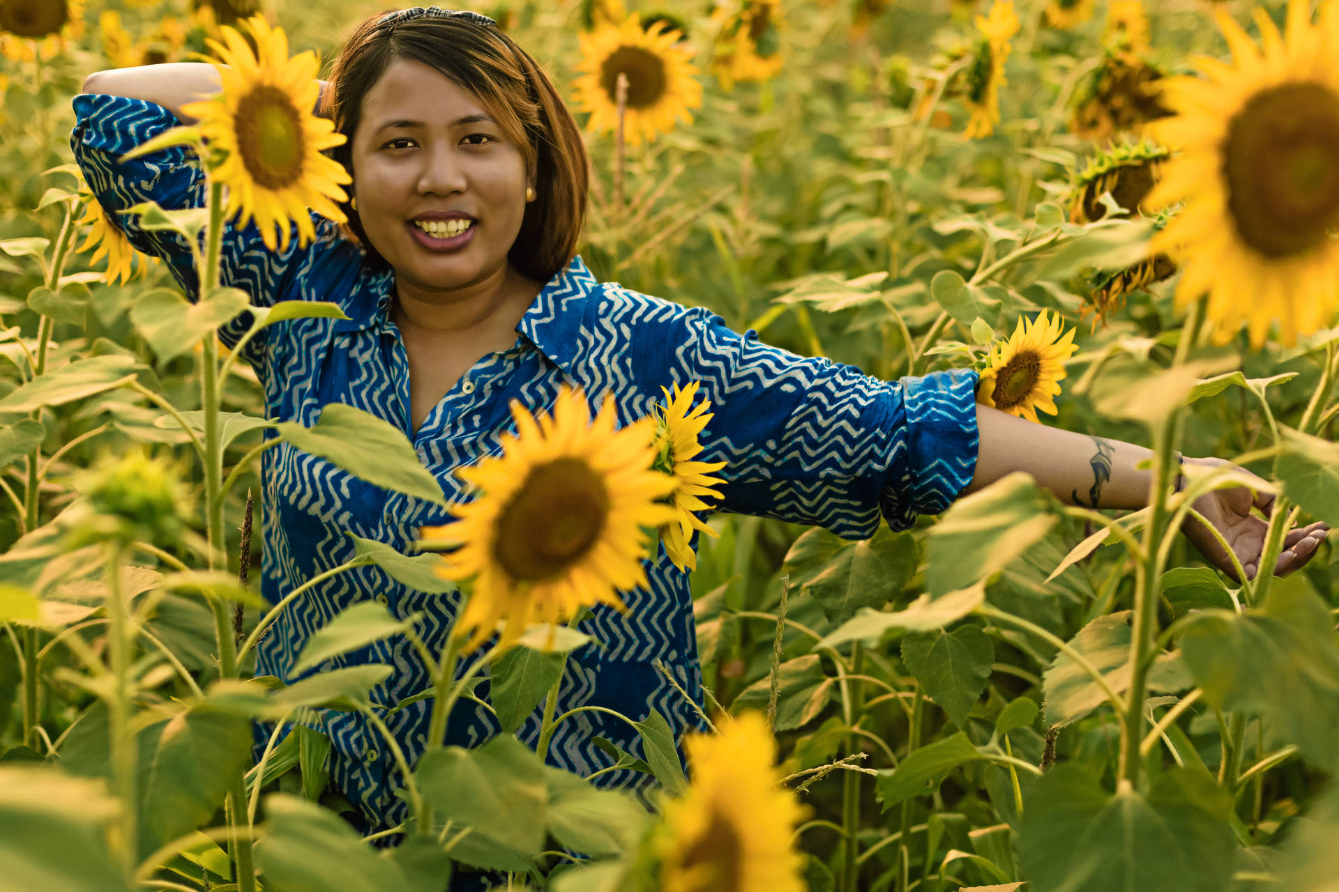Nepal Sunflower Field Wallpaper